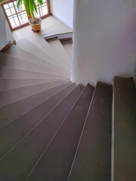 Escalier circulaire dans le vieux château