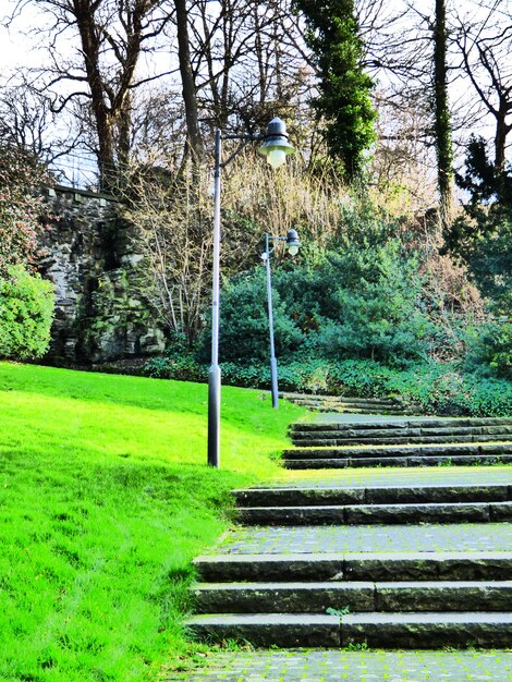 Photo un escalier dans un parc