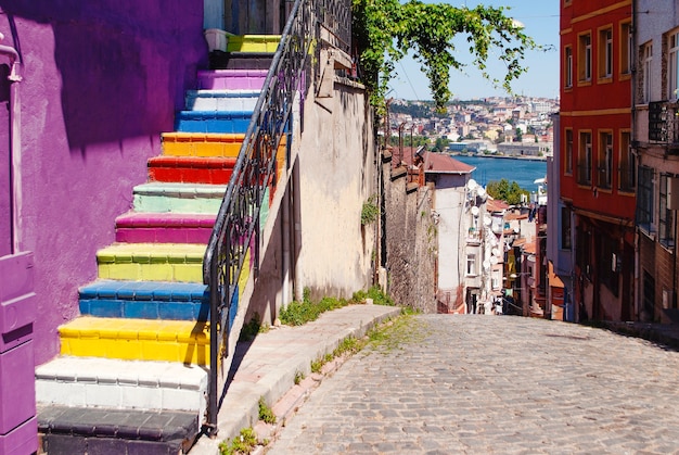 Un escalier peint avec des couleurs vives sur le côté d'un mur violet dans le quartier de Balat à Istanbul avec une vue dégagée sur la Corne d'Or.