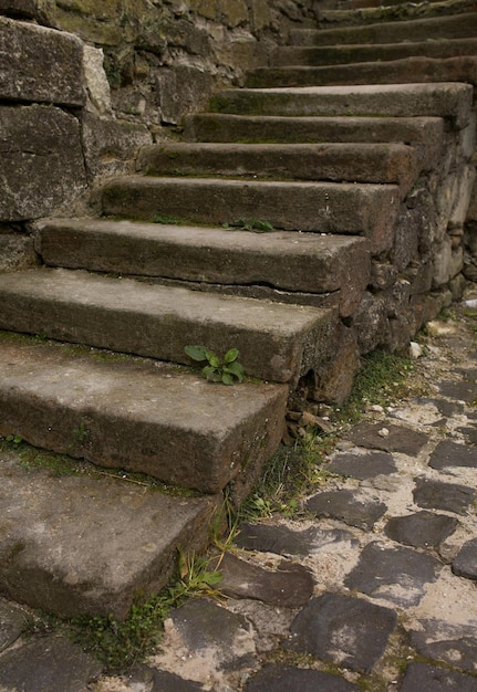 Escalier en pierre vieillie vers le bâtiment