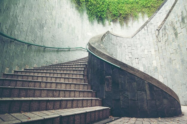 Un escalier qui se fond dans les arbres et la nature.