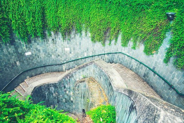 Un escalier qui se mêle à la nature et aux arbres.