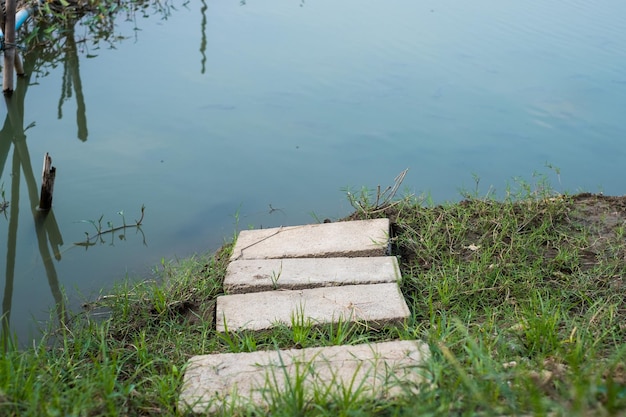 Escalier vers les étangs à poissons dans la ferme