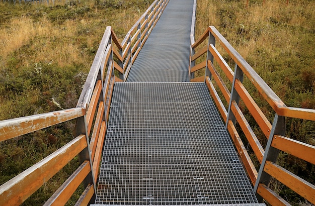 Escalier vide et promenade parmi le feuillage d'automne