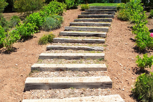 Escaliers en bois dans le jardin. Été.