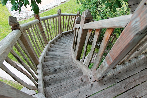 Escaliers en bois de la maison au sommet de l'arbre