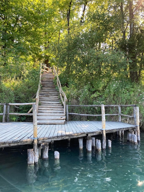 Escaliers en bois parmi les arbres à côté de l'eau