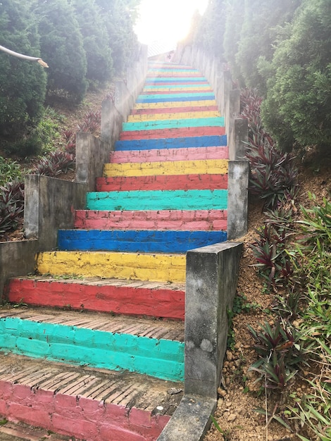 Les escaliers sont différents et peints de différentes couleurs.