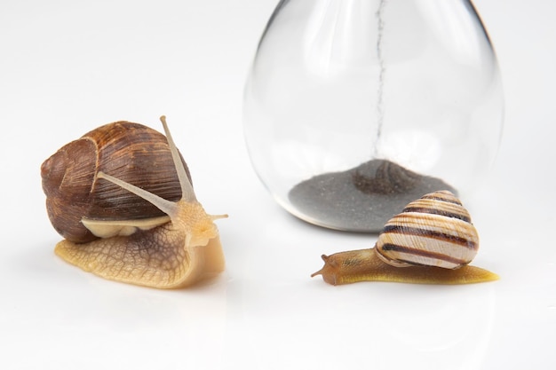 L'escargot rampe sur le sablier le temps et la stabilité la fugacité du temps et la lenteur à choisir le succès la nature cyclique de la vie