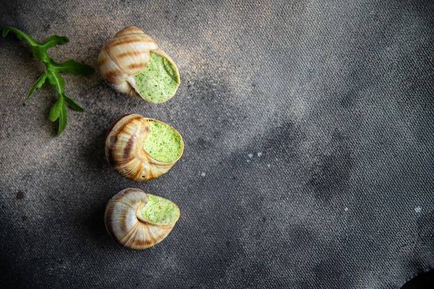 escargots aliments prêts à manger repas sains frais snack alimentation sur la table copie espace arrière-plan alimentaire