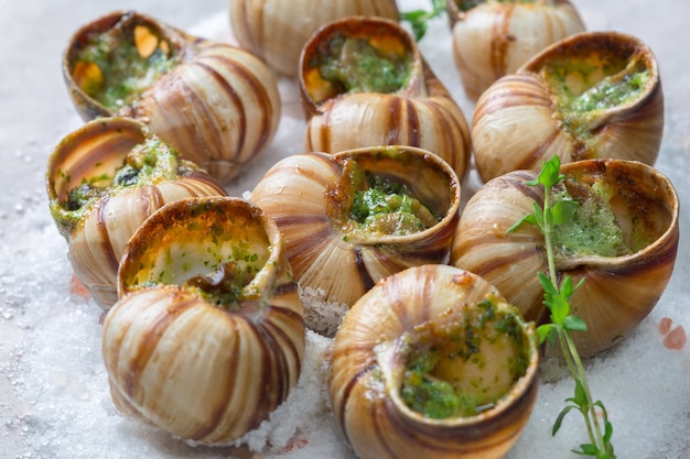 Escargots au four avec beurre à l&#39;ail et herbes fraîches