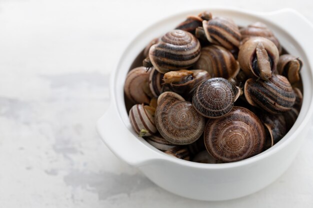 Escargots bouillis aux herbes dans un plat blanc sur fond en céramique