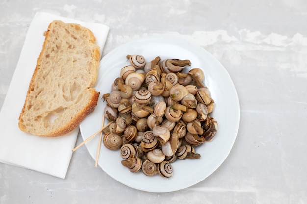 Escargots bouillis dans une assiette blanche avec du pain sur céramique