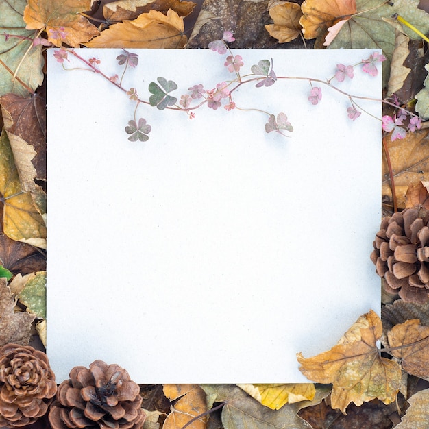 Photo espace blanc avec décorations d'automne