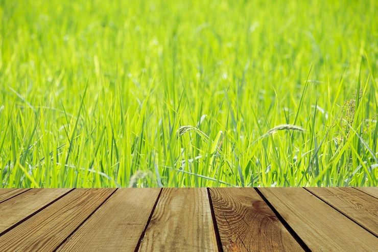 Photo espace bois sur champ vert.