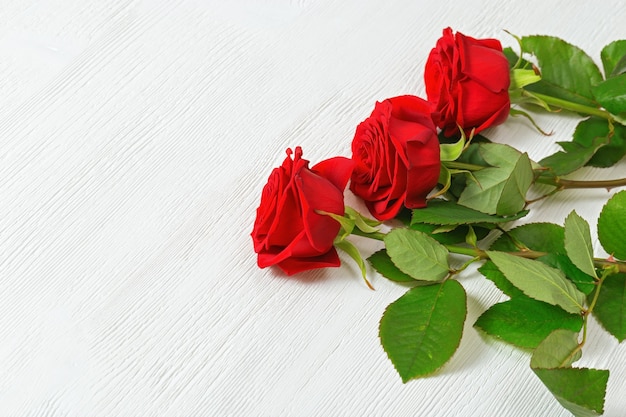 Espace de copie de beau bouquet de roses rouges