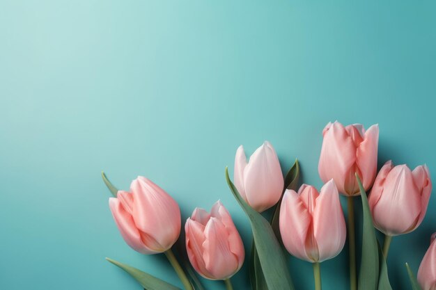 Espace de copie de fleur de tulipe colorée sur fond de couleur pastel uni généré par ai