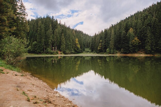 Espace de copie de l'heure d'automne du lac des Carpates ukrainiennes synevyr