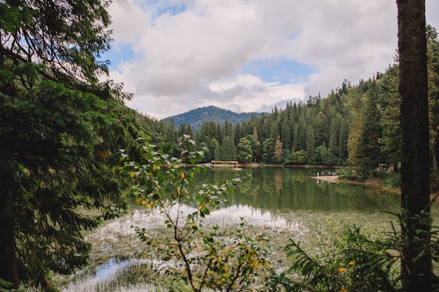 Espace de copie de l'heure d'automne du lac des Carpates ukrainiennes synevyr