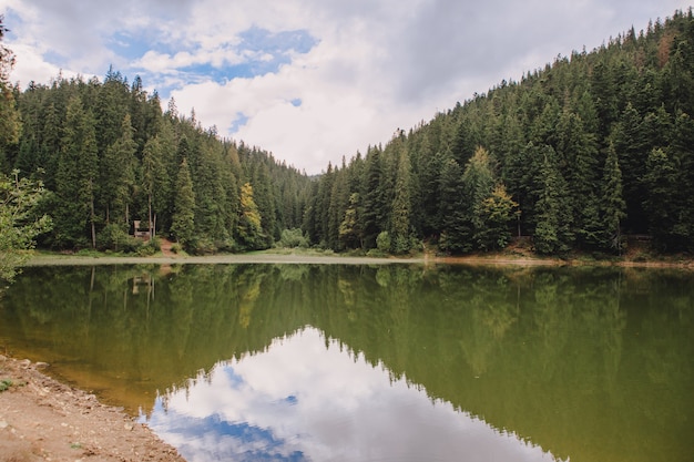 Espace de copie de l'heure d'automne du lac des Carpates ukrainiennes synevyr