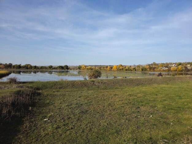 Un espace gazonné avec un plan d'eau et des arbres