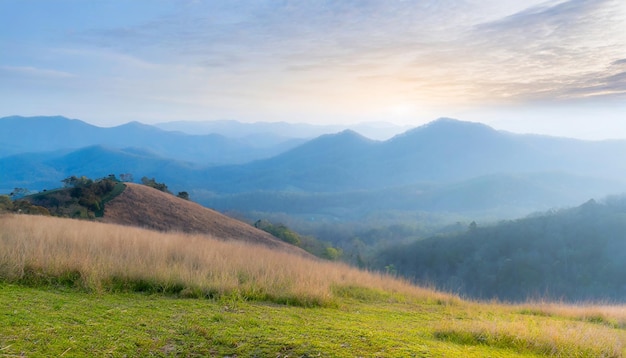 Photo espace libre sur la colline avec les montagnes de la crête bleue