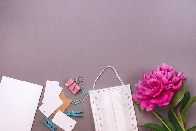 Espace de travail féminin de bureau de bureau avec des blancs de masque de visage de pivoine et des trombones fond gris