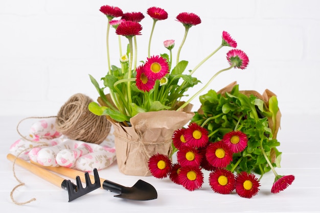 Espace de travail, plantation de fleurs de printemps. Outils de jardin, plantes en pots et arrosoir sur tableau blanc