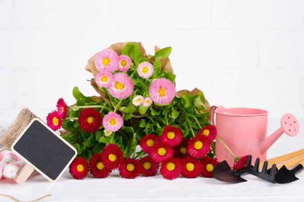 Photo espace de travail, plantation de fleurs de printemps. outils de jardin, plantes en pots et arrosoir sur tableau blanc