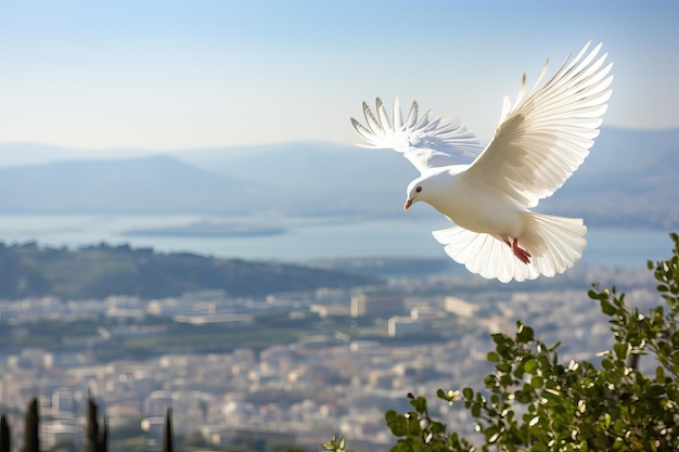 Esprit de dieu arrière-plan bannière panorama colombe blanche avec les ailes largement ouvertes dans le ciel bleu de l'air avec