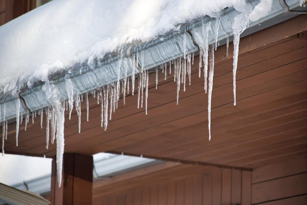 Essence de l'hiver car il représente de manière vivante une collection de glaçons suspendus au bord d'un toit