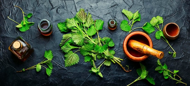 Essence d'ortie en bouteille de verre et feuilles d'ortie fraîche.Orties en phytothérapie.Homéopathie