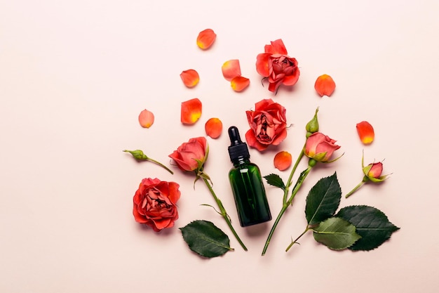 Essence de rose, boutons de rose et feuilles sur fond rose. Concept d'aromathérapie