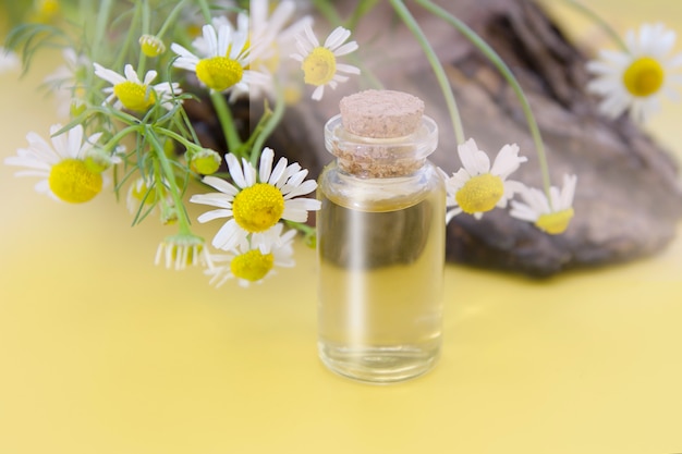 Essence, teinture de fleurs de camomille médicinales dans une bouteille