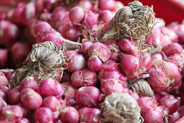 C'est un ail violet précieux.