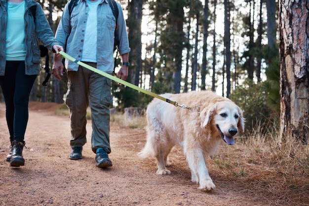 C'est là que nous nous arrêtons normalement pour une pause eau. Plan d'un couple d'âge mûr et de leur chien en randonnée ensemble.