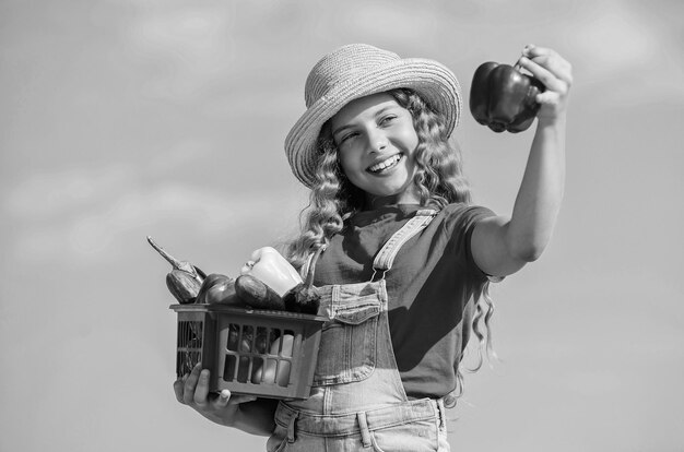 Est Sous Contrôle Enfant Sur La Ferme D'été Nourriture Biologique Petite Fille Légume Dans Le Panier Seule Récolte Naturelle Vitamine Jardin De Printemps Heureux Petit Agriculteur Récolte D'automne Aliments Sains Pour Les Enfants