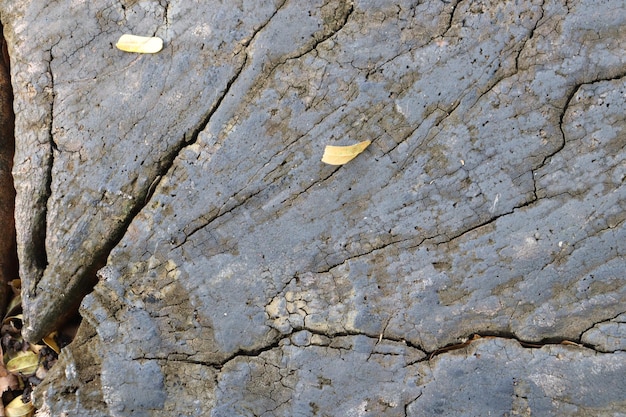 C'est une surface en bois intéressante.