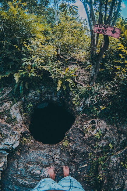 est le trou dans un cénote au milieu de la partie forestière de la nature