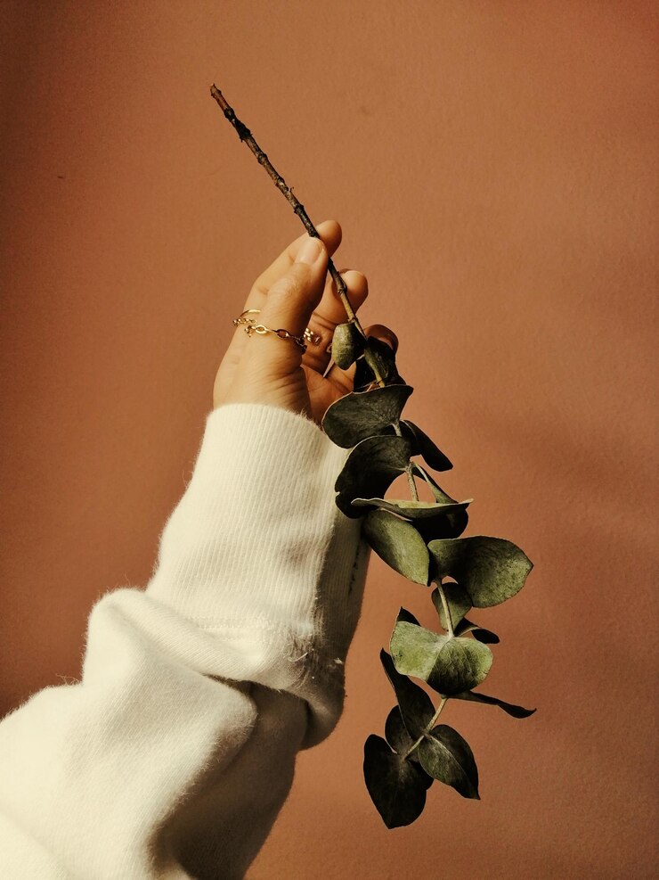 C'est vide comme les feuilles.