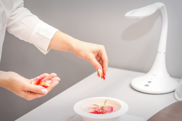 Esthéticiennes mains féminines préparation bain de manucure avec des pétales de roses rouges et roses sur la table dans le spa