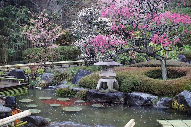 Photo un étang dans un parc.