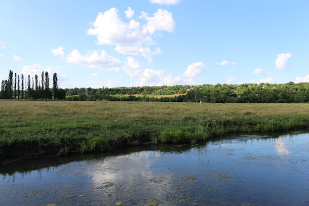 Photo un étang avec de l'herbe et des arbres en arrière-plan