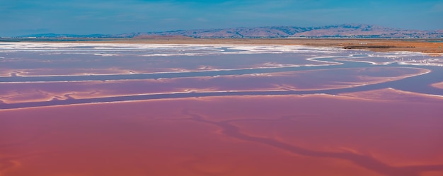 Les étangs de sel roses au parc du comté d'alviso marina