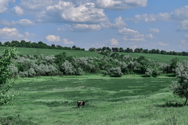 l'été au village