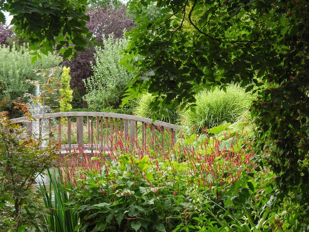 L'été dans le jardin.