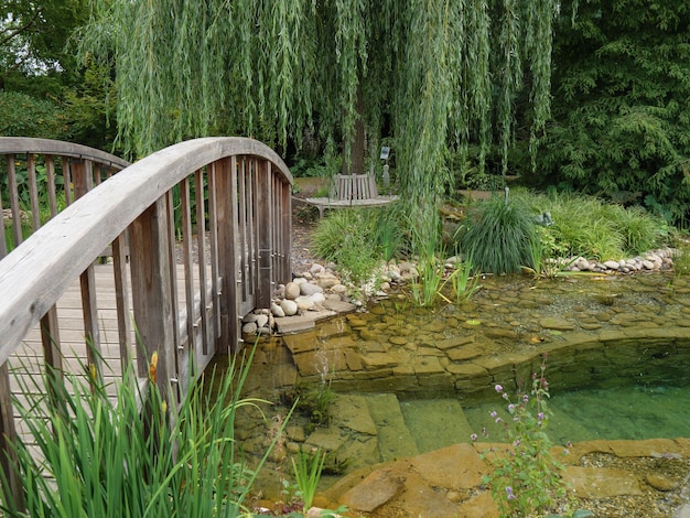 L'été dans le jardin