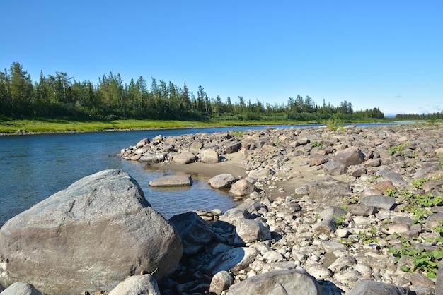 L'été dans l'Oural polaire la rivière Sob