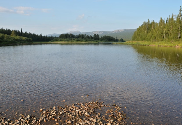 L'été dans le parc national de Yugyd Va