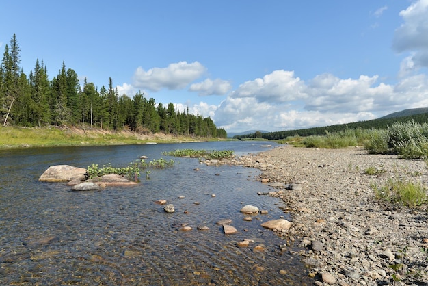 L'été dans le parc national de Yugyd Va